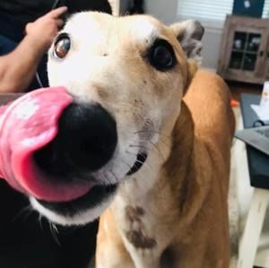 Meet your Posher, Kim